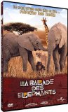 Image de l'objet « La balade des éléphants »